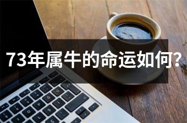 73年属牛的命运如何？
