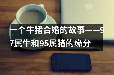 <h3>一个牛猪合婚的故事——97属牛和95属猪的缘分