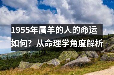 1955年属羊的人的命运如何？从命理学角度解析
