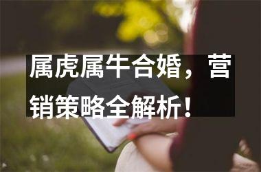 <h3>属虎属牛合婚，营销策略全解析！