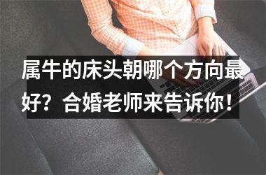 属牛的床头朝哪个方向好？合婚老师来告诉你！
