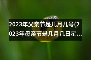 2025年父亲节是几月几号(2025年母亲节是几月几日星期几)