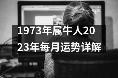 1973年属牛人2025年每月运势详解