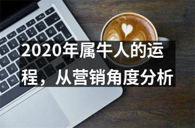<h3>2025年属牛人的运程，从营销角度分析