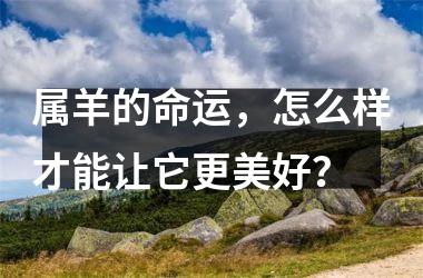 属羊的命运，怎么样才能让它更美好？