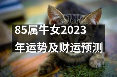 <h3>85属牛女2025年运势及财运预测