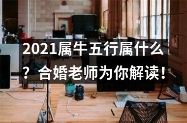 2025属牛五行属什么？合婚老师为你解读！