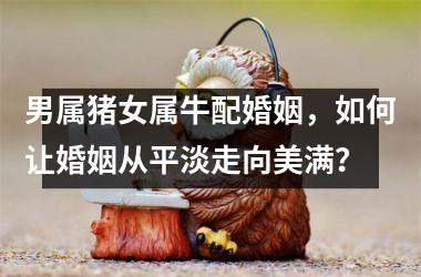 <h3>男属猪女属牛配婚姻，如何让婚姻从平淡走向美满？