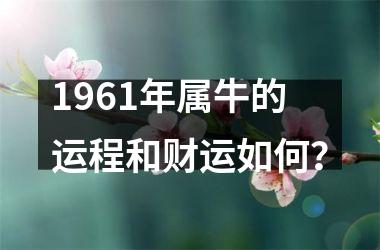 <h3>1961年属牛的运程和财运如何？