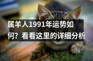 <h3>属羊人1991年运势如何？看看这里的详细分析