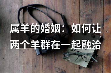 <h3>属羊的婚姻：如何让两个羊群在一起融洽