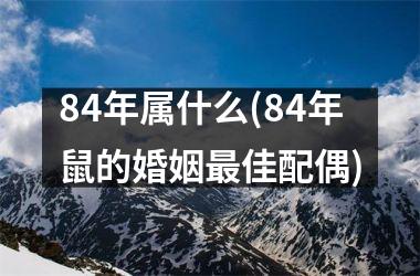 84年属什么(84年鼠的婚姻佳配偶)