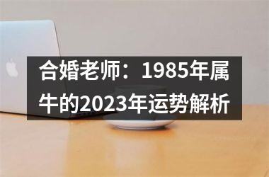 合婚老师：1985年属牛的2025年运势解析