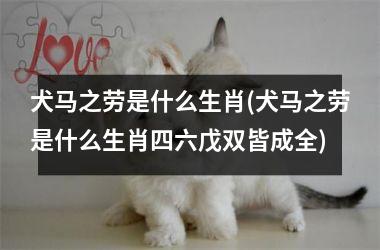 <h3>犬马之劳是什么生肖(犬马之劳是什么生肖四六戊双皆成全)