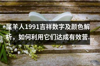 <h3>属羊人1991吉祥数字及颜色解析，如何利用它们达成有效营销