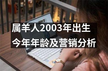 <h3>属羊人2003年出生今年年龄及营销分析