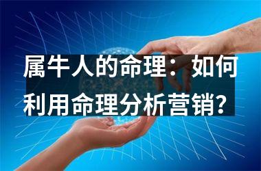 属牛人的命理：如何利用命理分析营销？