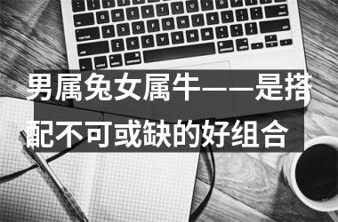 男属兔女属牛——是搭配不可或缺的好组合