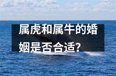 <h3>属虎和属牛的婚姻是否合适？