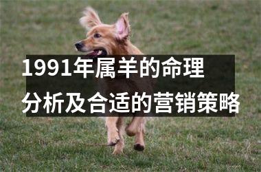<h3>1991年属羊的命理分析及合适的营销策略