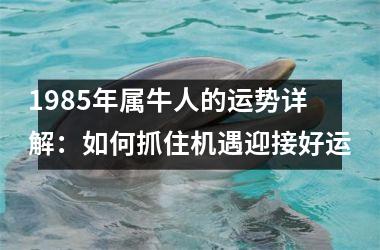 <h3>1985年属牛人的运势详解：如何抓住机遇迎接好运