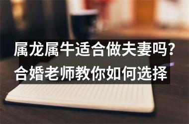 <h3>属龙属牛适合做夫妻吗？合婚老师教你如何选择