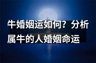 <h3>牛婚姻运如何？分析属牛的人婚姻命运