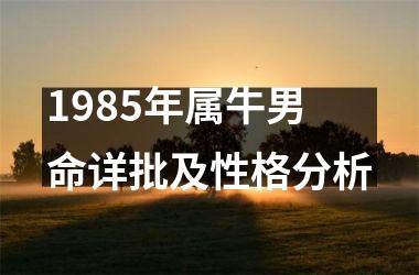 <h3>1985年属牛男命详批及性格分析