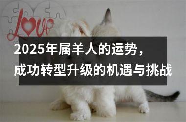 <h3>2025年属羊人的运势，成功转型升级的机遇与挑战
