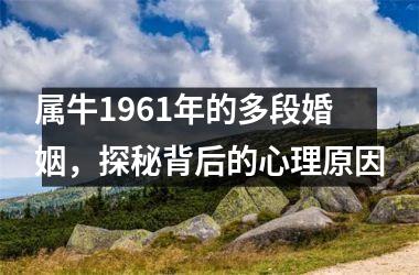 <h3>属牛1961年的多段婚姻，探秘背后的心理原因