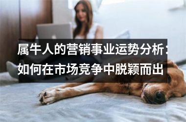 <h3>属牛人的营销事业运势分析：如何在市场竞争中脱颖而出