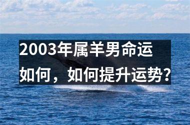 <h3>2003年属羊男命运如何，如何提升运势？