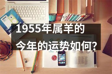 <h3>1955年属羊的今年的运势如何？