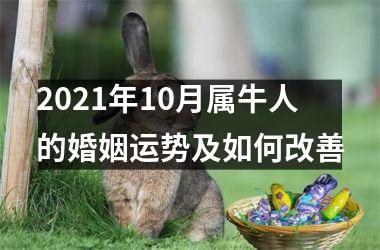 <h3>2025年10月属牛人的婚姻运势及如何改善