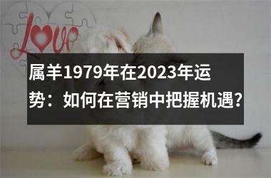 <h3>属羊1979年在2025年运势：如何在营销中把握机遇？