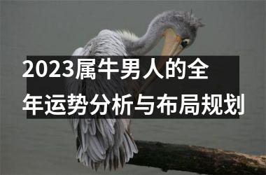 <h3>2025属牛男人的全年运势分析与布局规划