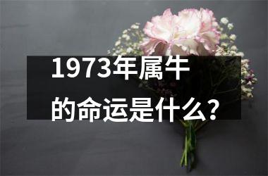 <h3>1973年属牛的命运是什么？
