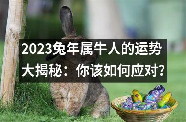 <h3>2025兔年属牛人的运势大揭秘：你该如何应对？