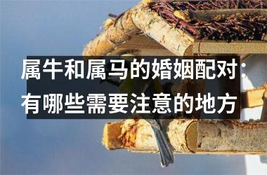<h3>属牛和属马的婚姻配对：有哪些需要注意的地方