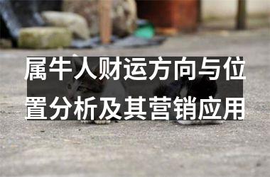 属牛人财运方向与位置分析及其营销应用