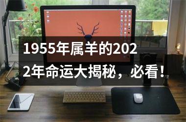 <h3>1955年属羊的2025年命运大揭秘，必看！