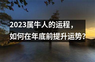 2025属牛人的运程，如何在年底前提升运势？
