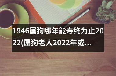 <h3>1946属狗哪年能寿终为止2025(属狗老人2025年或许迎接百岁生日)