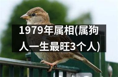 <h3>1979年属相(属狗人一生旺3个人)