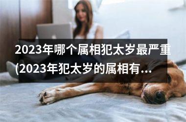 2025年哪个属相犯太岁严重(2025年犯太岁的属相有哪些)