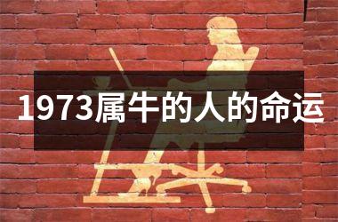 <h3>1973属牛的人的命运
