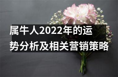 <h3>属牛人2025年的运势分析及相关营销策略