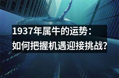 <h3>1937年属牛的运势：如何把握机遇迎接挑战？