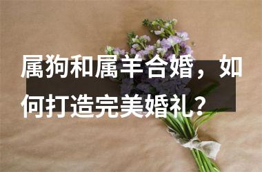 属狗和属羊合婚，如何打造完美婚礼？