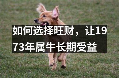 <h3>如何选择旺财，让1973年属牛长期受益